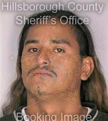 Deleon Pedro - Hillsborough County, FL 