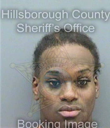 Devlin Corie - Hillsborough County, FL 