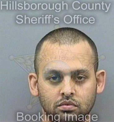 Glisson Gary - Hillsborough County, FL 