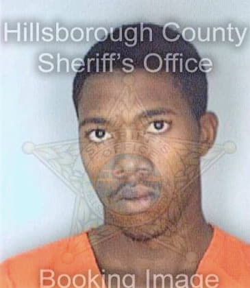 Copeland Lawrence - Hillsborough County, FL 