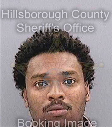 Jonas Michael - Hillsborough County, FL 