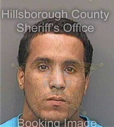 Lopez Rigoberto - Hillsborough County, FL 