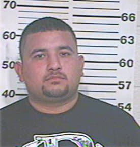 Venegas Martin - Hidalgo County, TX 