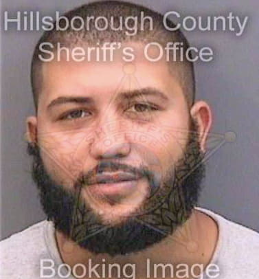 Lozada Anthony - Hillsborough County, FL 