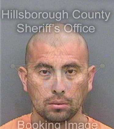 Ramos Juan - Hillsborough County, FL 