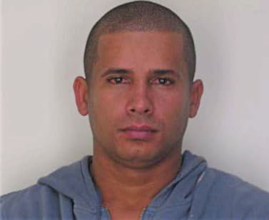 Lopezfigueroa Omar - Hillsborough County, FL 