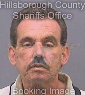 Menendez Aurelio - Hillsborough County, FL 