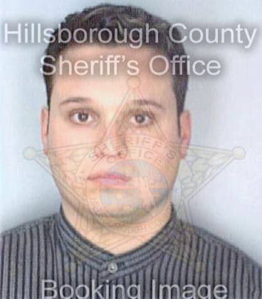 Depalma David - Hillsborough County, FL 