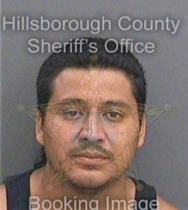 Gonzalezrivera Jose - Hillsborough County, FL 