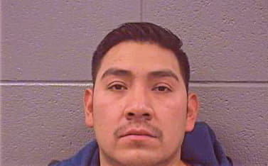 Arreaga Luis - Cook County, IL 