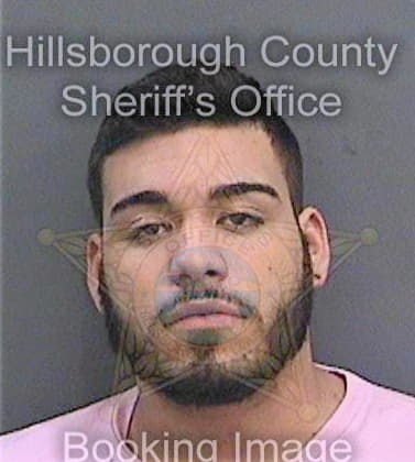 Paduajimenez Michael - Hillsborough County, FL 