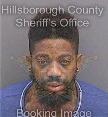 Reeves Harold - Hillsborough County, FL 