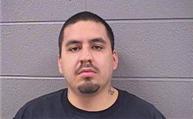 Herrera Alejandro - Cook County, IL 