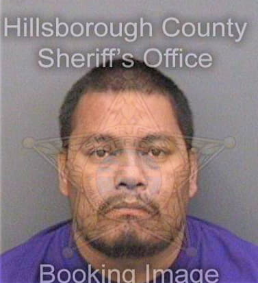 Ramos Arnulfo - Hillsborough County, FL 