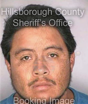 Ortiz Celso - Hillsborough County, FL 