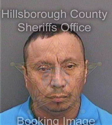 Guzmanjimenez Antonio - Hillsborough County, FL 