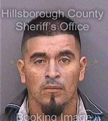 Santiagogonzalez Gustavo - Hillsborough County, FL 