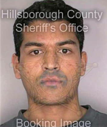 Samaroo Vijay - Hillsborough County, FL 