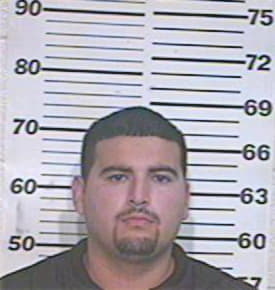 Mcginnis Luis - Hidalgo County, TX 