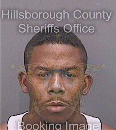 Smith Dennis - Hillsborough County, FL 