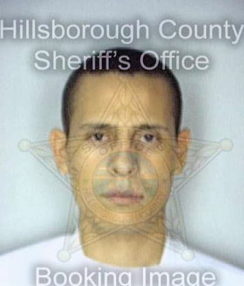 Ramirez Jose - Hillsborough County, FL 