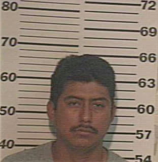 Hernandez Miguel - Hidalgo County, TX 