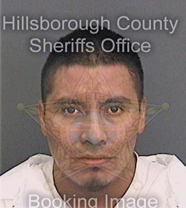 Reyes-Morales Feliciano - Hillsborough County, FL 