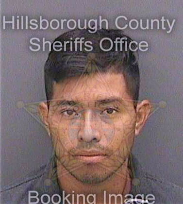 Gaticaramirez Geovany - Hillsborough County, FL 