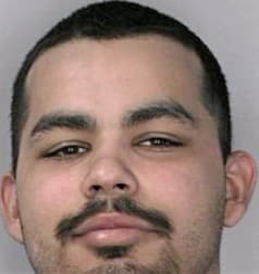 Gonzalez Humberto - Hillsborough County, FL 