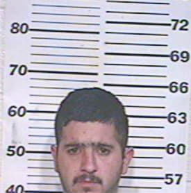 Morales Julian - Hidalgo County, TX 