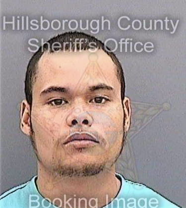 Vegasanchez Nelson - Hillsborough County, FL 