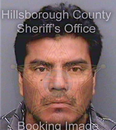 Gonzalez Eri - Hillsborough County, FL 