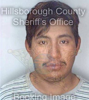 Hernandez Matias - Hillsborough County, FL 
