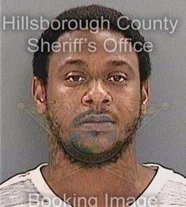 Howard Michael - Hillsborough County, FL 