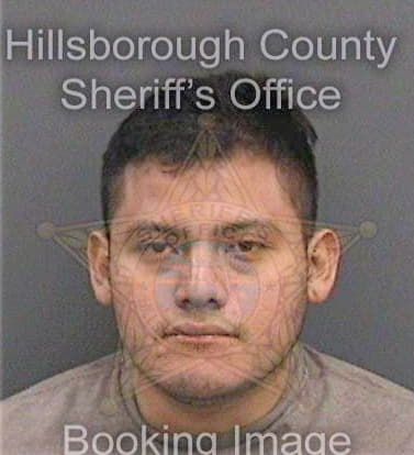 Pina David - Hillsborough County, FL 