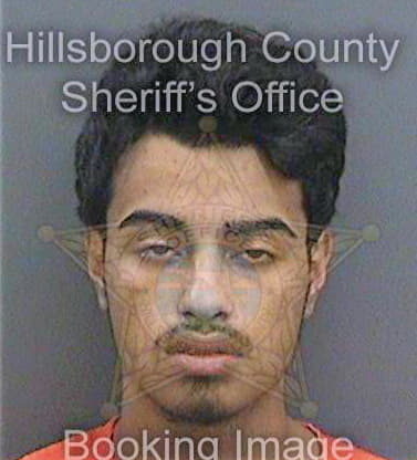 Berenger Michael - Hillsborough County, FL 