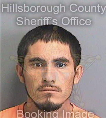 Jimenezaquillon Ricardo - Hillsborough County, FL 