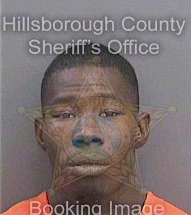 Lewis Demarcus - Hillsborough County, FL 