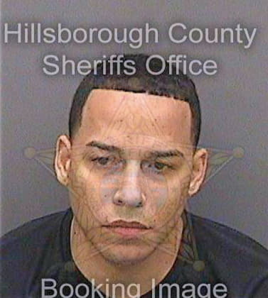 Oquendocruz Arnaldo - Hillsborough County, FL 