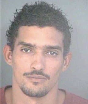 Lopez Juan - Hillsborough County, FL 