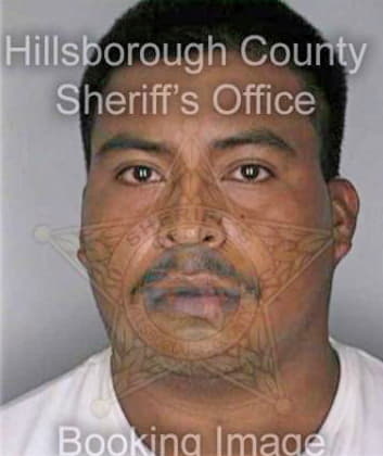 Villanueva Pedro - Hillsborough County, FL 