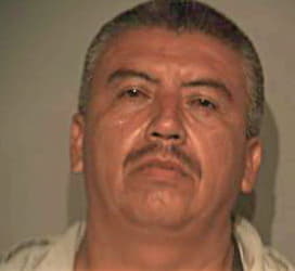 Andrade Francisco - Hidalgo County, TX 