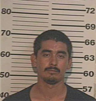 Garcia Jesus - Hidalgo County, TX 