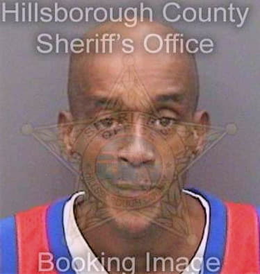 Sirmons Calvin - Hillsborough County, FL 