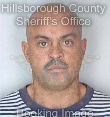 Diaz Johnny - Hillsborough County, FL 