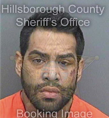 Reyes Abiram - Hillsborough County, FL 