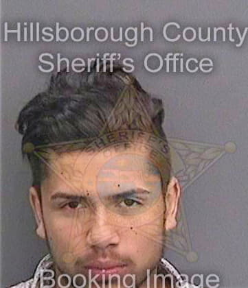 Santana James - Hillsborough County, FL 