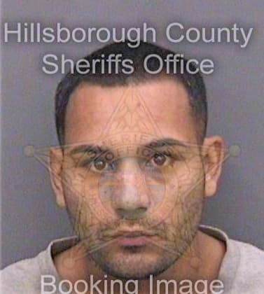 Gonzalez Rene - Hillsborough County, FL 