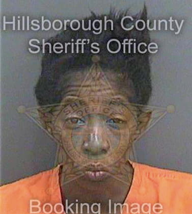 Blakley Beatrice - Hillsborough County, FL 