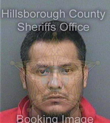 Galanhernandez Jamie - Hillsborough County, FL 